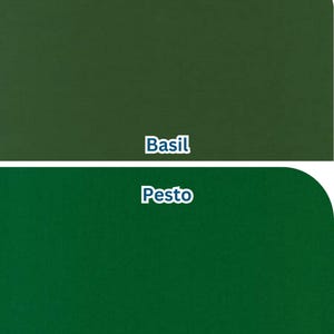 Pu&ograve; includere: Due campioni di colore verde pieno, uno in una tonalit&agrave; pi&ugrave; scura etichettata "Basilico" e l'altro in una tonalit&agrave; pi&ugrave; brillante etichettata "Pesto". I colori sono visualizzati su uno sfondo semplice.