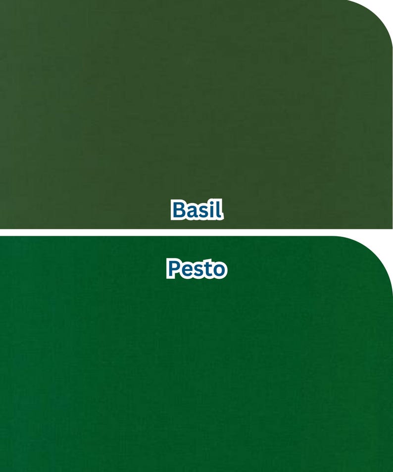 Pu&ograve; includere: Due campioni di colore verde pieno, uno in una tonalit&agrave; pi&ugrave; scura etichettata "Basilico" e l'altro in una tonalit&agrave; pi&ugrave; brillante etichettata "Pesto". I colori sono visualizzati su uno sfondo semplice.