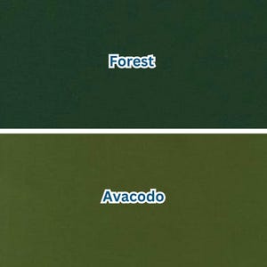 Pu&ograve; includere: Due campioni di colore, uno verde scuro con l'etichetta "Forest" e l'altro verde pi&ugrave; chiaro con l'etichetta "Avacodo". Il testo &egrave; in bianco, con un carattere arrotondato. Lo sfondo &egrave; di colore uniforme.