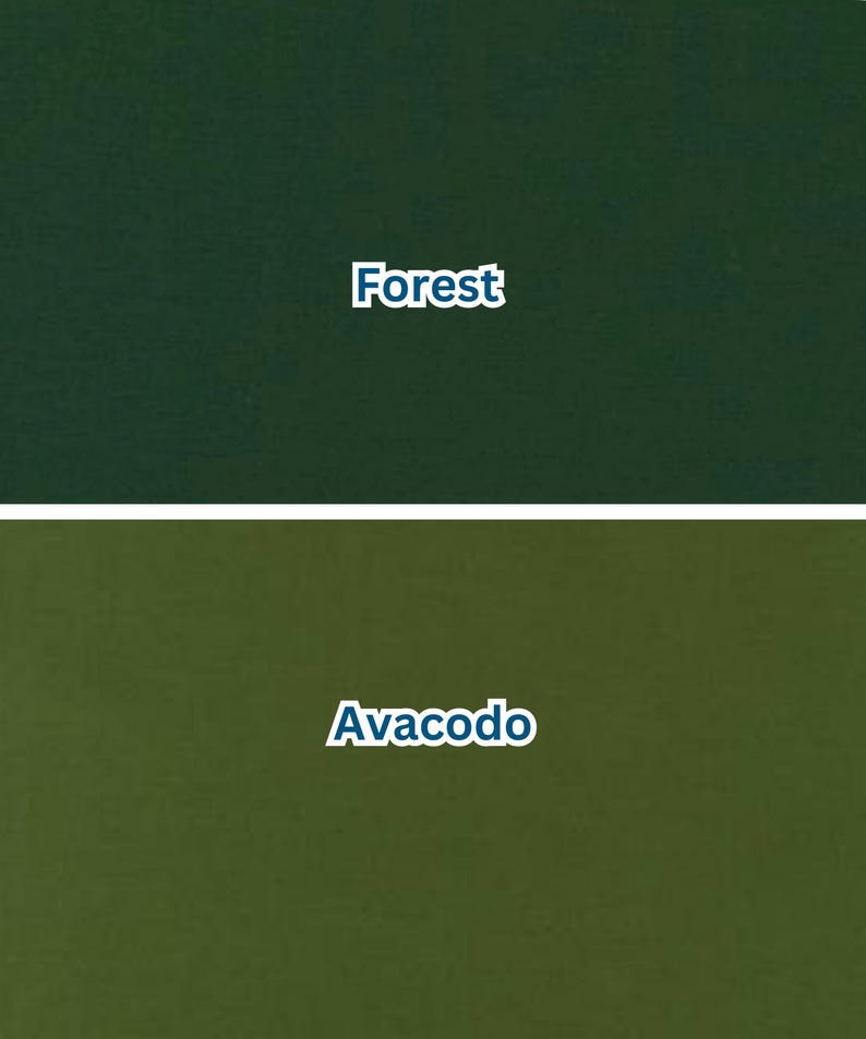 Pu&ograve; includere: Due campioni di colore, uno verde scuro con l'etichetta "Forest" e l'altro verde pi&ugrave; chiaro con l'etichetta "Avacodo". Il testo &egrave; in bianco, con un carattere arrotondato. Lo sfondo &egrave; di colore uniforme.