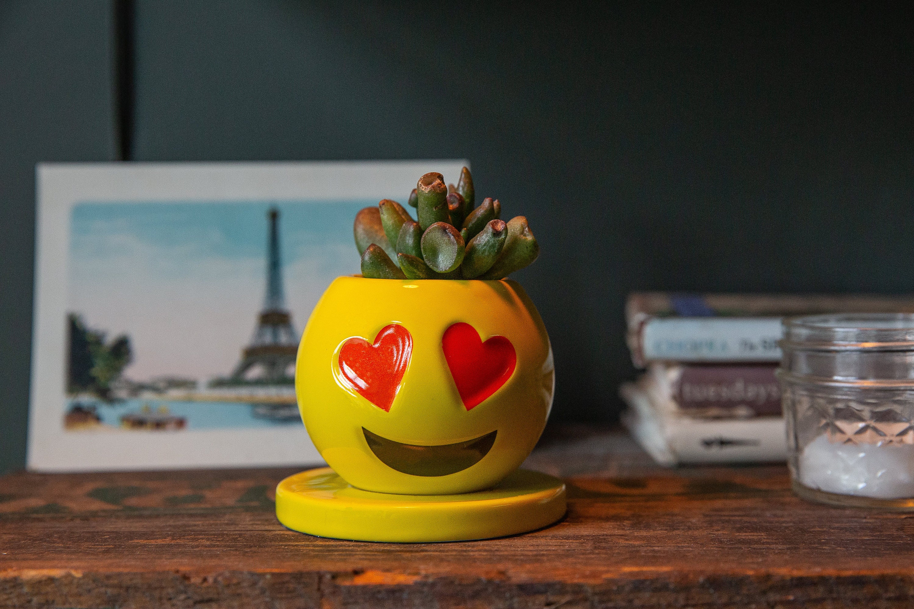 Emoji Pack 1 Face Planter, Succulent Planters With Drainage and