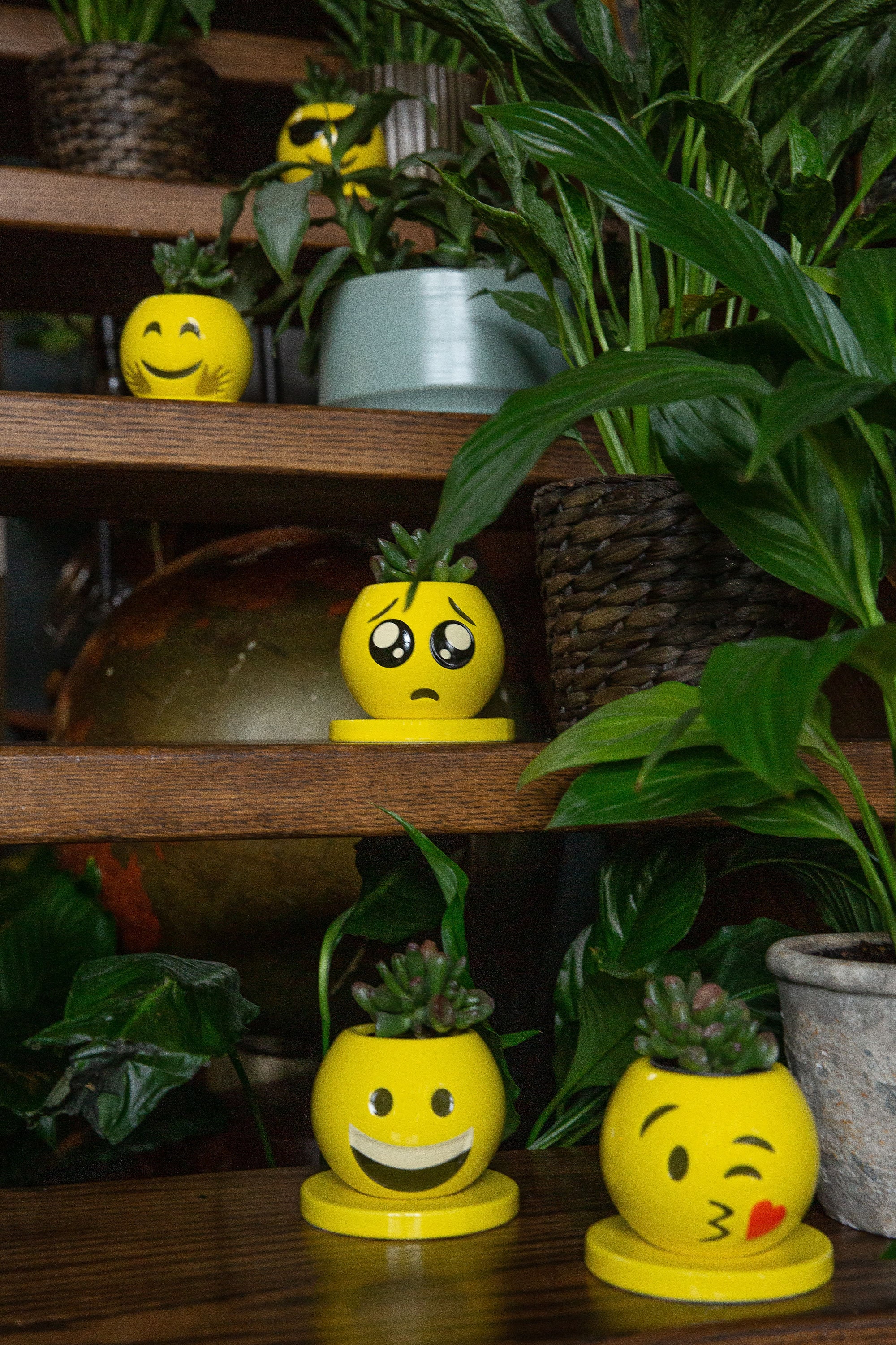 Emoji Pack 1 Face Planter, Succulent Planters With Drainage and