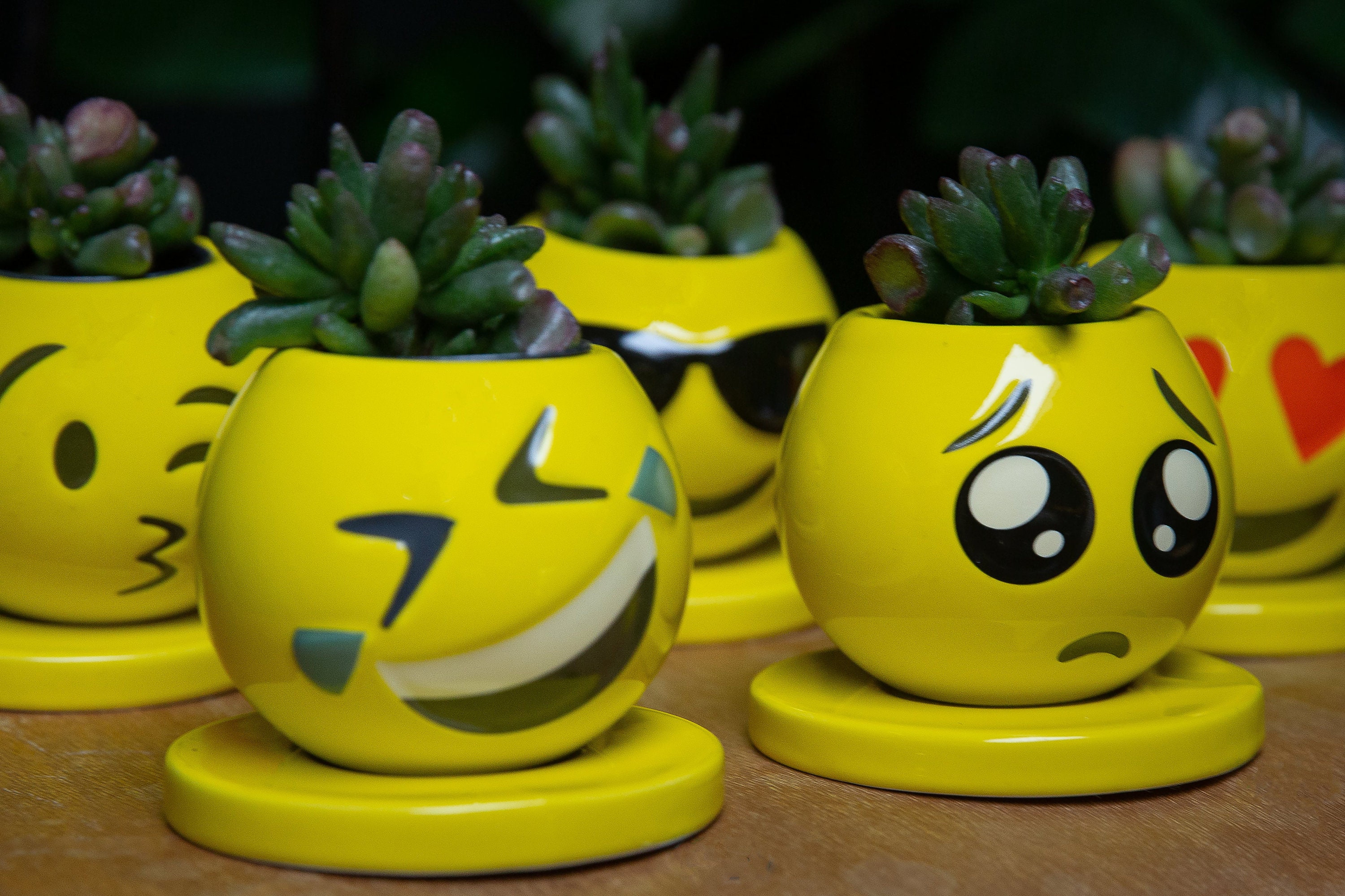 Emoji Pack 1 Face Planter, Succulent Planters With Drainage and