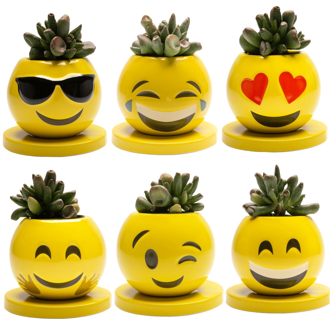 Emoji Pack 1 Face Planter, Succulent Planters With Drainage and