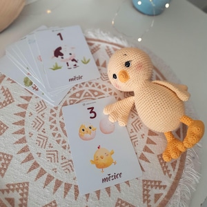 Poussin au crochet, jouet poussin, jouet poule, articles cadeaux faits main, cartes jalons, décoration de chambre d'enfant, accessoires photo nouveau-né, cartes pour les mois importants