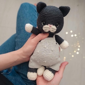 Black toy cat, crochet cat, cat in clothes, black cat, crochet toy