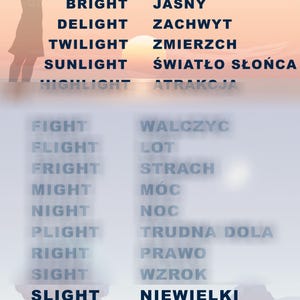 May include: An educational poster featuring a list of English words ending in -ight and their Polish translations. The top section shows a sunset scene with a silhouette of a person. The text includes words like Light, Bright, Delight, Twilight, Sunlight, Highlight, Fight, Flight, Fright, Might, Night, Plight, Right, Sight, Slight, Tight, and Midnight.