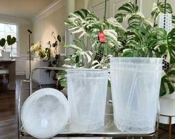 US seller large size high quality clear plastic pots Orchid pots/Anthurium pots good for roots