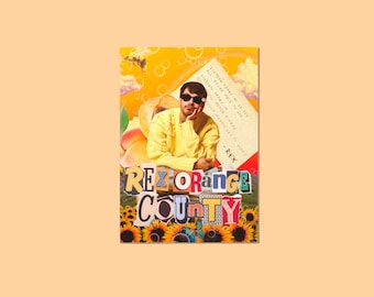 Rex Orange County Aesthetic Poster - Rex Orange County Music Print - Rex Orange County Collage Digital Download - Dorm Room Bedroom Wall Art