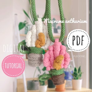 Op de afbeelding: Een digitale PDF-tutorial voor het maken van macramé anthurium plantenhangers. De tutorial bevat instructies voor het maken van twee anthuriums in verschillende kleuren, een witte en een roze, met een bruine pot en groene bladeren. De tutorial is beschikbaar als digitale download.