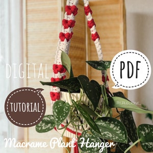 May include: A digital PDF tutorial for making a macrame plant hanger. The hanger is made with white and red cord and features a heart pattern. The hanger is holding a potted plant with green leaves.