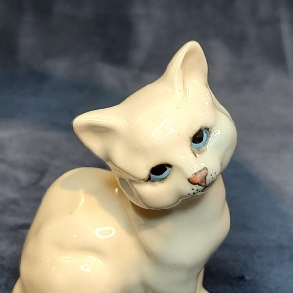 White Beswick cat