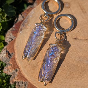 Può includere: Due portachiavi dorati a forma di cicala. Le cicale hanno ali iridescenti e dettagli del corpo. I portachiavi sono attaccati a chiusure circolari dorate. Lo sfondo è una superficie di legno con fogliame verde.