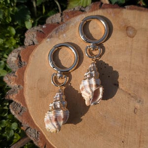 Puede incluir: Un par de pendientes de aro dorados con colgantes de conchas marinas naturales. Las conchas son de color crema y marrón, con detalles dorados. Los pendientes se exhiben sobre una superficie de madera con follaje verde de fondo.