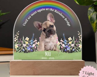 Dog Memorial Acrylic Night Light Gift, Pet Memorial Light, Custom Cat Loss Keepsake, Bereavement Gift, Cat Lover Gifts, Dog Remembrance Gift