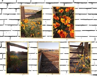 Desert Sunset Flowers Set of 5 Printable Wall Art Download