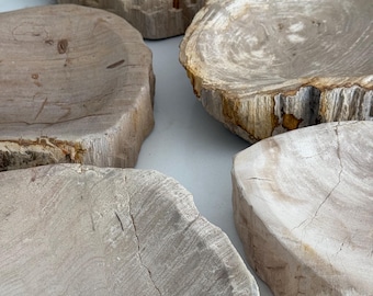 Vintage ＊ petrified wood tray Vintage Petrified Wood Tray: Retro Shelf Decor (14