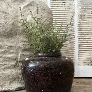 May include: A dark brown, glazed ceramic jar with a wide mouth, filled with green, spiky plants. The jar has a textured surface and sits on a wooden surface. A large, light-colored stone is to the left of the jar, and a white, textured wall is in the background.