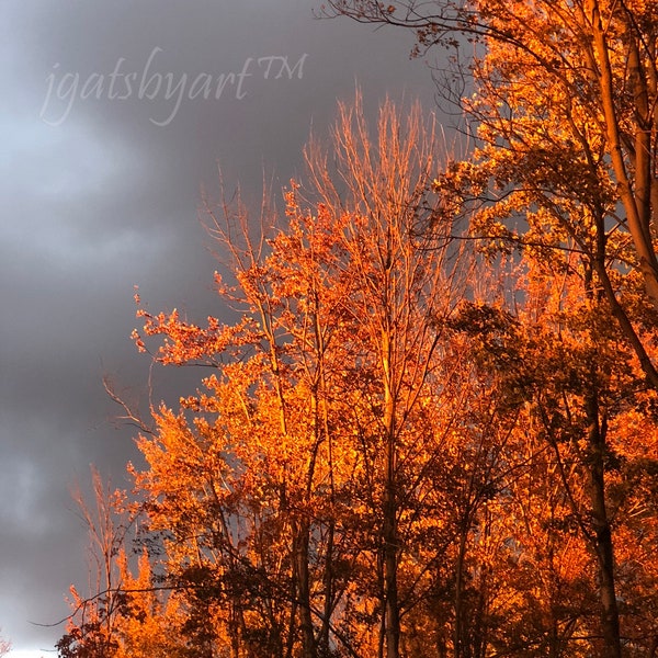 Ciel d’automne (Photographie)