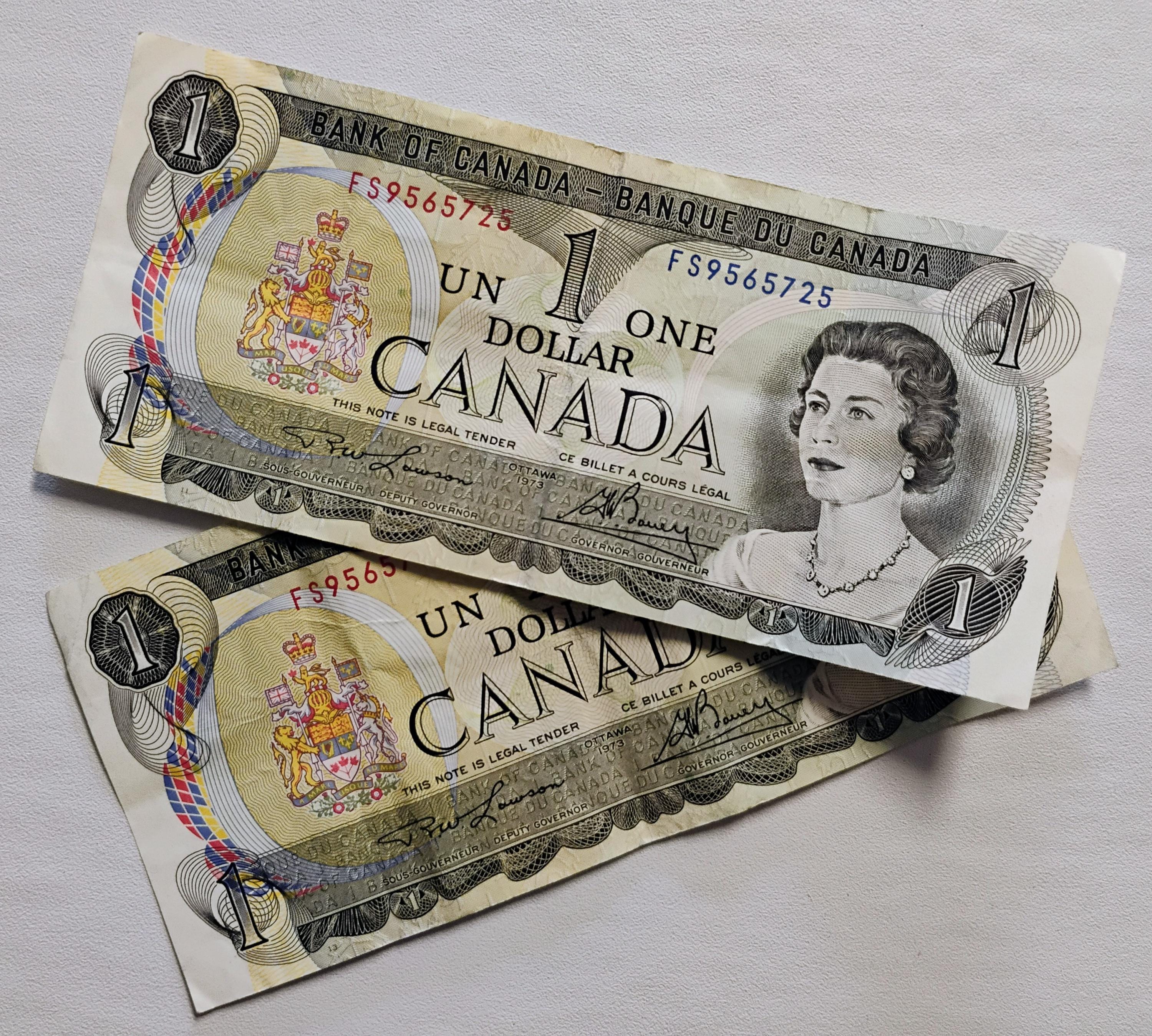 1973 canadian dollar - Etsy 日本