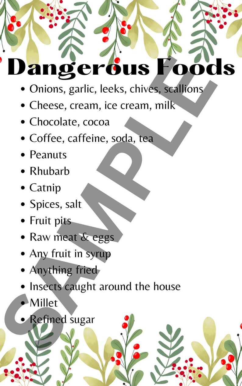 Dangerous Unsafe Food List for Sugar Gliders Beautiful Floral Etsy