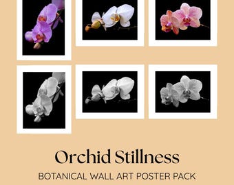 Puede incluir: Seis impresiones enmarcadas de arte mural botánico con flores de orquídeas en varios colores y blanco y negro. Las impresiones muestran primeros planos de orquídeas sobre un fondo negro. También se ve el texto "Orchid Stillness" y "BOTANICAL WALL ART POSTER PACK".