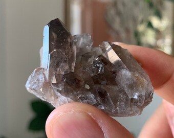 May include: A cluster of smoky quartz crystals with a dark brown to clear colour. The crystals are clustered together in a natural formation.