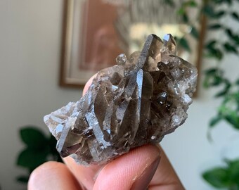 45g | Smokey Quartz Cluster Natural Raw Crystal On Matrix From Brazil | Beautiful & Naturally Terminated Points | Black Gemstone | Gem Stone
