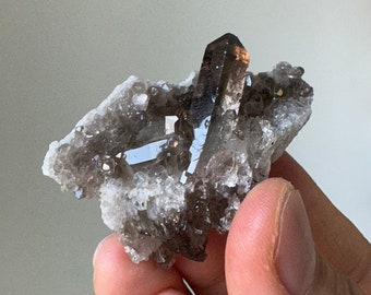 May include: A cluster of smoky quartz crystals with a dark brown to black colour. The crystals are clustered together on a bed of white quartz.