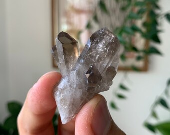 19g | Smokey Quartz Cluster Natural Raw Crystal On Matrix From Brazil | Beautiful & Naturally Terminated Points | Black Gemstone | Gem Stone