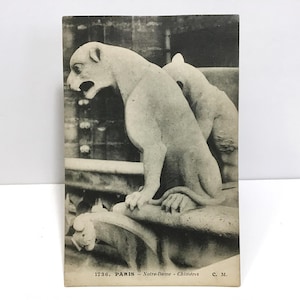 Vintage 1900s Paris Photo Postcard - Notre Dame Cathedral, Chimeras / Gargoyles - Gothic Sculpture, Souvenir Photograph