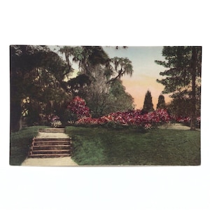 Mittlere Ton-Platz-Gärten, Charleston South Carolina - Vintage c.1930er Jahre handkolorierte Alberttype ungepostete Postkarte - Lowlands SC-Dekorfoto