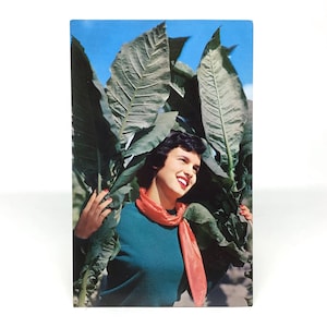 Grüße aus Tobaccoland c.1950s-1960s Plastichrome Postkarte Frank Dementi Studio niedliche brünette Modell Tabakland