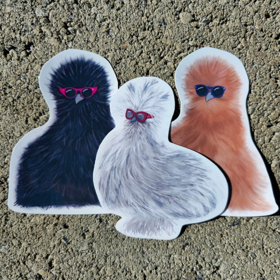 Silkie Chicken Wearing Sunglasses Cool Chicks Glossy Vinyl Stickers Fluffy Chicken Stickers