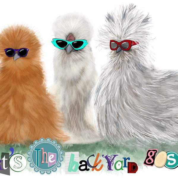 Chicken Sticker 3 Silkie Hens Wearing Sunglasses Backyard Gossip