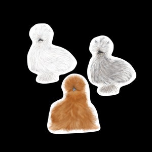 Pegatina de vinilo de pollo sedoso: Arte de pollo esponjoso