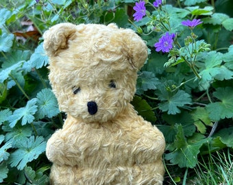 Antique Wood Hard Stuffed Teddy Bear circa 1940s