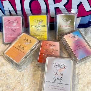 Bath and Body Works Wax Melts | Strong Scented | Clamshell Wax Melts