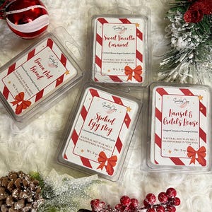 HOLIDAY Wax Melts | Winter Wax Tarts | Christmas Gifts | Stocking Stuffer | Christmas Scents | Christmas Wax Melts
