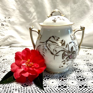 Antique Limoges Porcelain Biscuit Jar: Floral Transferware, 1910