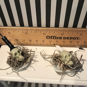 May include: Two small Halloween skull decorations. Each skull is nestled in a bed of brown and tan twine, sitting on a small white plate. One skull has a black candle, the other has a white candle. A wooden ruler is in the background.