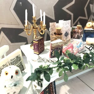 Accesorios de mago para casa de muñecas, escala 1:12: gafas, varita, libros, pergaminos, mapa, frascos de pociones, búhos y escobas.