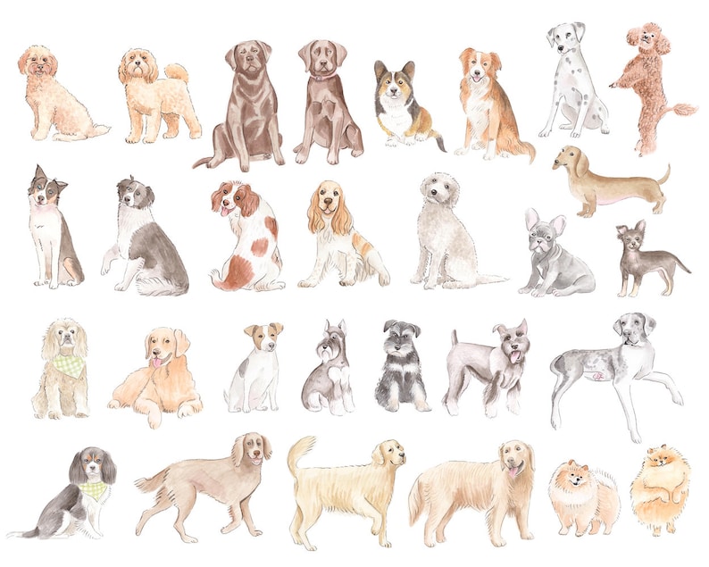 May include: Watercolor painting of various dog breeds, including a Dalmatian, a poodle, a dachshund, a golden retriever, a chihuahua, a schnauzer, a cocker spaniel, a labrador, a border collie, a pug, a corgi, a cavalier king charles spaniel, a french bulldog, a sheepdog, a terrier, and a pom. The dogs are all depicted in a sitting or standing position, with their fur painted in a variety of colors.