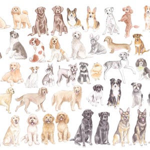 May include: Watercolor illustration of various dog breeds in different poses. The dogs are depicted in a variety of colors, including brown, black, white, and tan. The image features breeds such as Labrador Retrievers, Poodles, and Corgis.