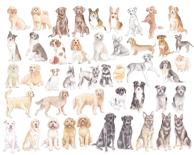 May include: Watercolor illustration of various dog breeds in different poses. The dogs are depicted in a variety of colors, including brown, black, white, and tan. The image features breeds such as Labrador Retrievers, Poodles, and Corgis.