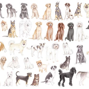 May include: Watercolor illustration featuring a variety of dog breeds in different poses. The dogs are depicted in various colors, including black, white, brown, and tan. The image showcases a range of dog sizes and fur types, from small terriers to larger breeds.