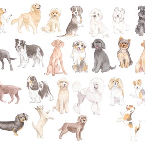 May include: Watercolor painting of 30 different dog breeds, including a Beagle, Golden Retriever, Poodle, Labrador Retriever, Border Collie, Yorkshire Terrier, and more. The dogs are all depicted in a playful and whimsical style.