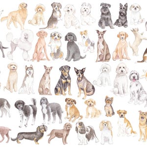 May include: Watercolor illustration featuring a variety of dog breeds in various poses. The dogs are depicted in a range of colors, including brown, black, white, and gray. The image showcases different breeds, from small to large, in a whimsical style.