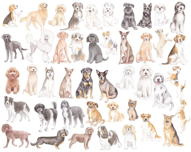 May include: Watercolor illustration featuring a variety of dog breeds in various poses. The dogs are depicted in a range of colors, including brown, black, white, and gray. The image showcases different breeds, from small to large, in a whimsical style.