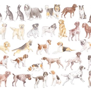 May include: Watercolor painting of various dog breeds, including a poodle, a bulldog, a German Shepherd, a golden retriever, a border collie, and many more. The dogs are depicted in various poses, some sitting, some standing, and some running.